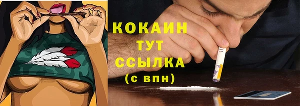 молекула духа Лихославль