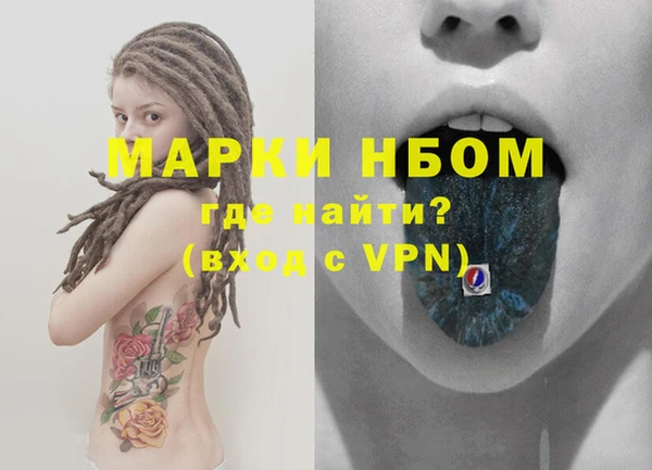 стафф Волгодонск
