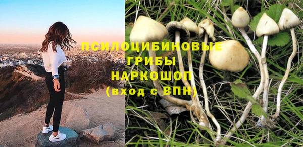 спайс Магас