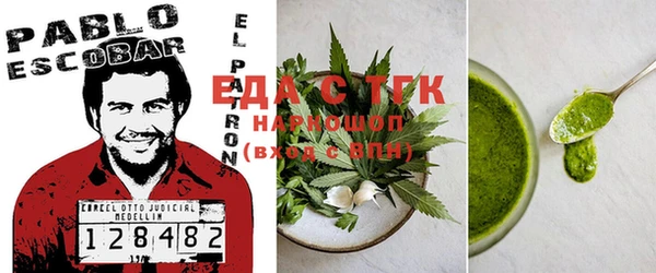 индика Майский