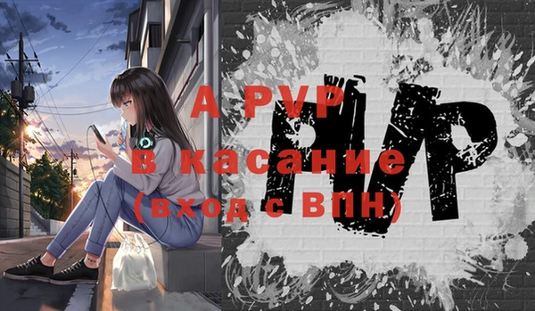 индика Майский