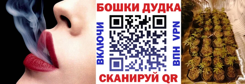 Каннабис индика Струнино